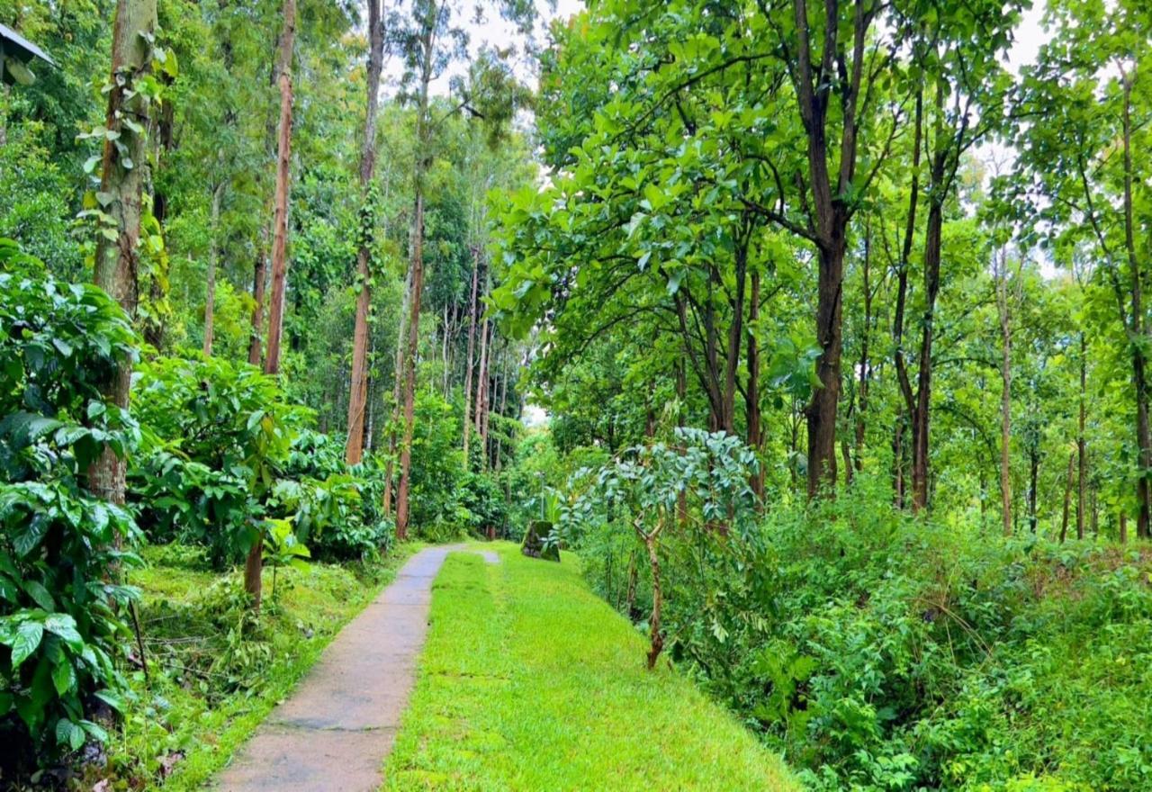 Adrak Mountain Mist Forest Resort Pulpally Екстер'єр фото