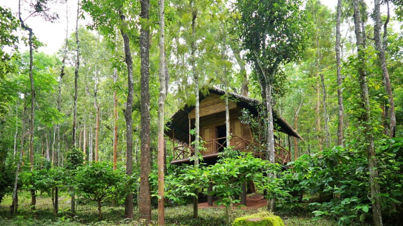 Adrak Mountain Mist Forest Resort Pulpally Екстер'єр фото